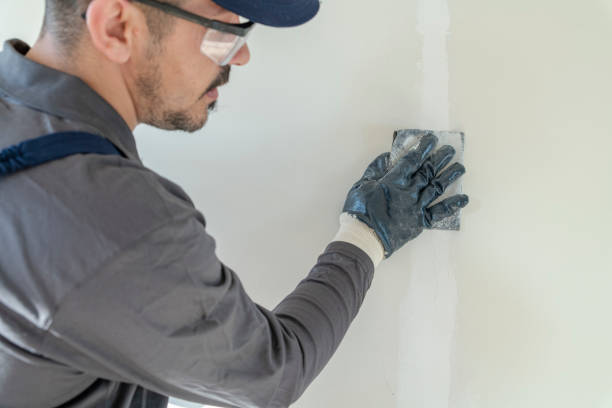 Environmental Consulting for Mold Prevention in Mountlake Terrace, WA