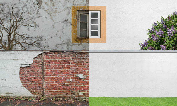 Best Forensic Mold Investigation  in Mountlake Terrace, WA