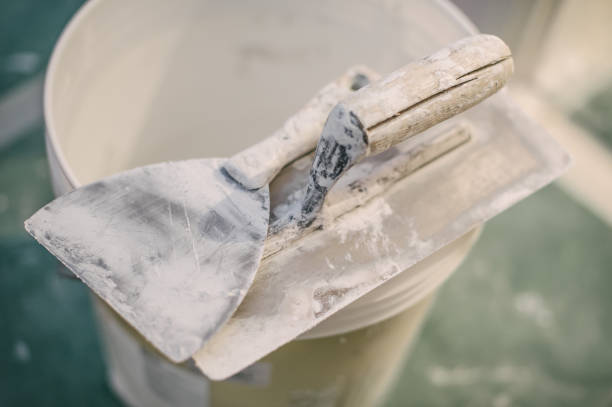 Best Real Estate Mold Inspection  in Mountlake Terrace, WA